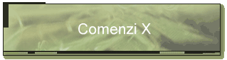 Comenzi X